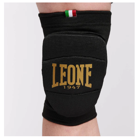 GINOCCHIERE LEONE